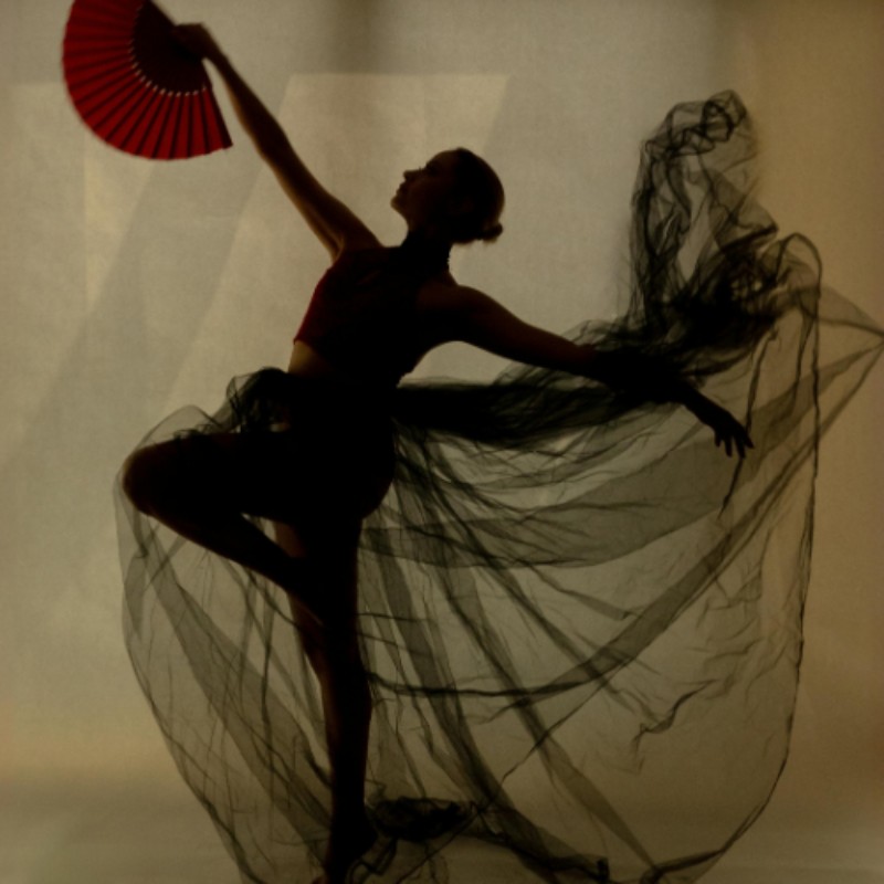 Dance Fusion